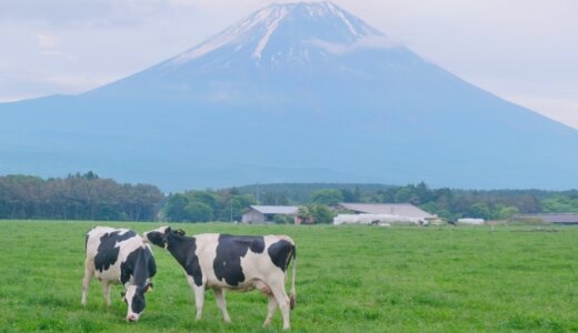 下のソーシャルリンクからフォロー