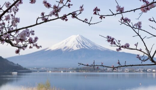 階段富士山 58日目 あと263m!