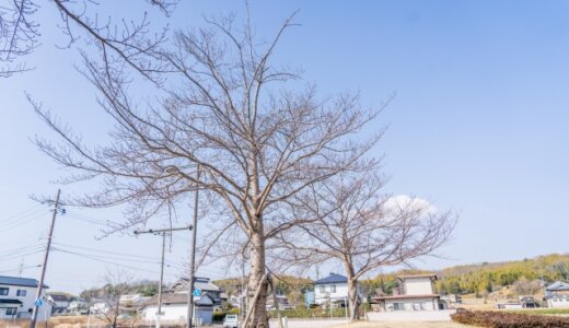 下のソーシャルリンクからフォロー